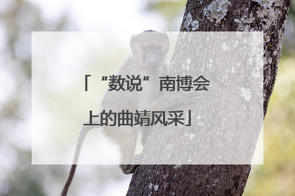 “数说”南博会上的曲靖风采